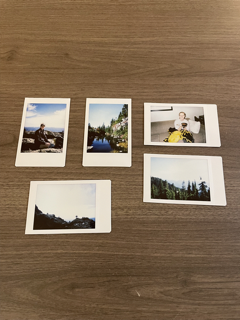 Polaroid 1
