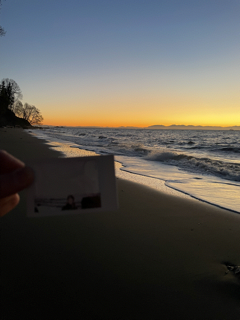 Polaroid 2